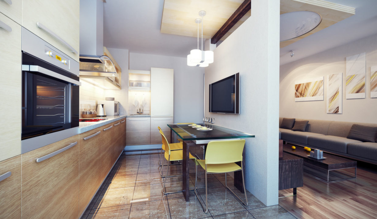 salon-cuisine attenante